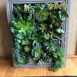 Framed Green faux Succulent Wall Art